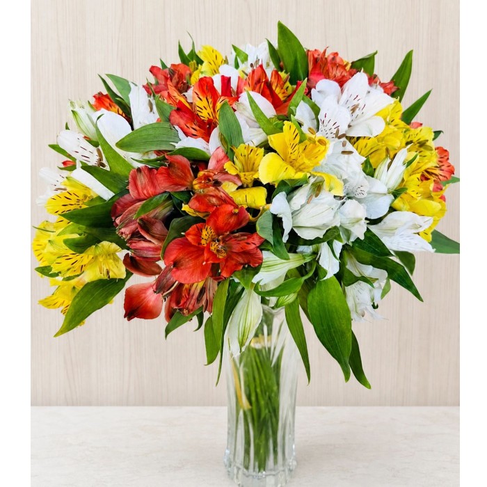 Astrom�lias Coloridas no Vaso