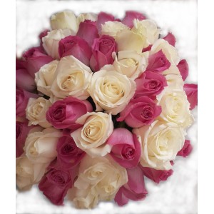 Mega Buqu� de 72 Rosas 